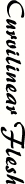 CurvilinearFleshText