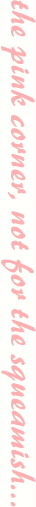 Textthepinkcorner