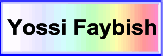 Yossi Faybish